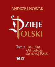 Dzieje Polski Od rozbicia do nowej Polski Tom 2 (Uszkodzona okładka)