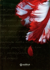 Księżyc w nowiu Pamiętnik - Stephenie Meyer