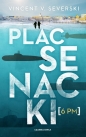 Plac Senacki 6 PM - Vincent Viktor Severski