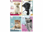 Wkład do segregatora Beniamin the sweet pets