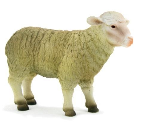 ANIMAL P. Owca (F7096)
