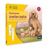 Czytaj z Albikiem: Domowe zwierzęta - interaktywna mówiąca książeczka Opracowanie zbiorowe