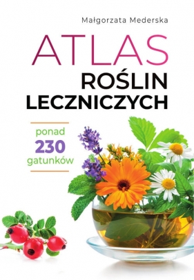 Atlas roślin leczniczych - Mederska Małgorzata
