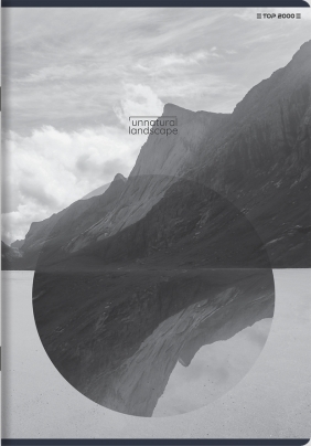 Zeszyt Top 2000 Unnatural Landscape A5/32k linia z marginesem, 1 szt