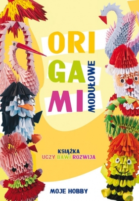 Origami modułowe - Wodzyńska Zofia