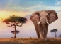Puzzle High Quality Collection 500: African Sunset (35096)