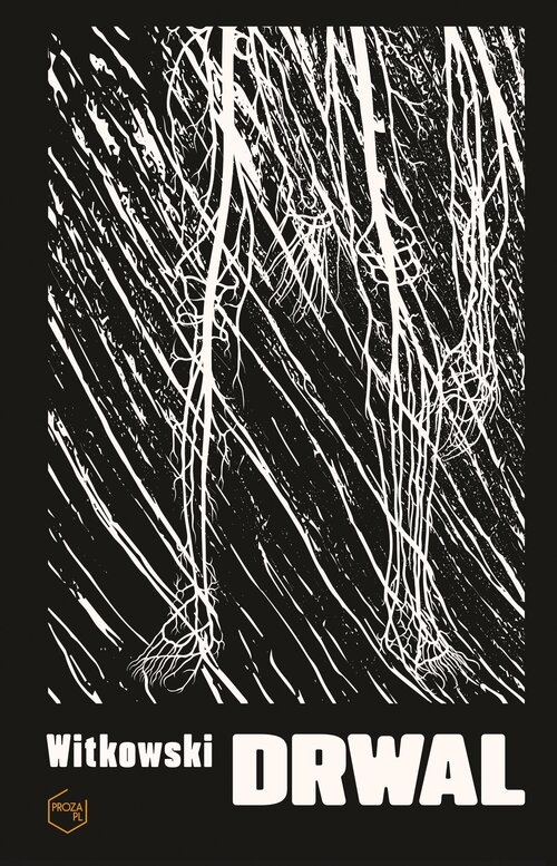 <img src='https://webimage.pl/pics/964/1/d92708B.jpg'>