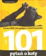 101 pytań o koty Czemu kot jest gałgan i zeżarł kanarka Kozińska Dorota