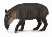 Tapir Bairda L (88596)