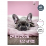 Zeszyt A4 32k.w 3 linie kolor Pies Love 90g