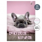 Zeszyt A4 32k.w 3 linie kolor Pies Love 90g
