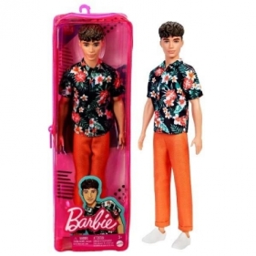 Barbie Fashionistas. Ken Stylowy HBV24