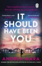 It Should Have Been You - Andrea Mara