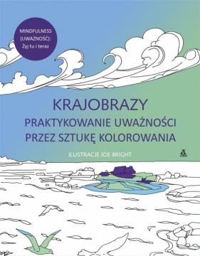 Krajobrazy Praktykowanie uważności przez sztukę kolorowania - Joe Bright