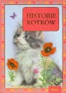 Historie kotków