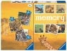 Ravensburger, Puzzle 3w1&Memory 25/36/49: Dzikie zwierzęta (20996) Wiek: