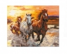 Diamond Dotz - Sunset Gallop