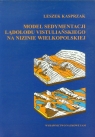 Model sedymentacji lądolodu vistuliańskiego na nizinie wielkopolskiej  Kasprzak Leszek
