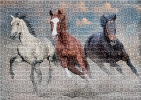 Puzzle 1000: Wild Horses 1