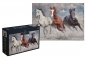 Puzzle 1000: Wild Horses 1