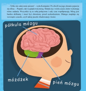 Mózg - Wojciech Grajkowski