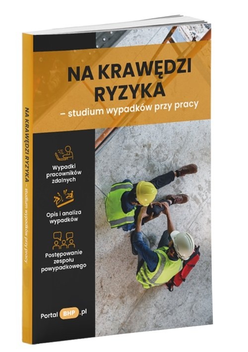 Na krawędzi ryzyka - studium wypadków przy pracy