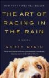 The Art of Racing in the Rain - Garth Stein