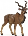  Antylopa kudu wielka