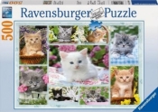 Ravensburger, Puzzle 500: Kotki w koszykach (141968)