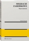 Migracje zarobkowe Wprowadzenie do analizy Michał Schwabe