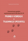 Franek Koperek i tajemniczy przybysz. Scenariusze godzin wychowawczych dla klas 4-6