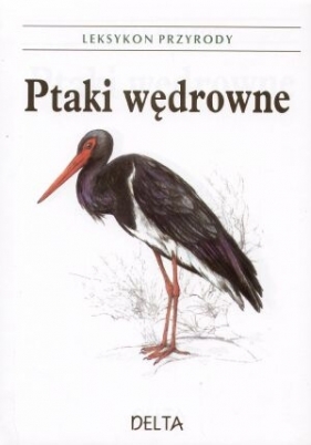 Ptaki wędrowne - leksykon przyrody - Bejcek Vladimir