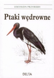 Ptaki wędrowne - leksykon przyrody
