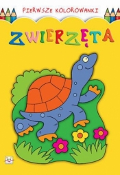 Pierwsze kolorowanki. Zwierzęta - Opracowanie zbiorowe