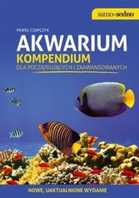 Akwarium - Czapczyk Paweł