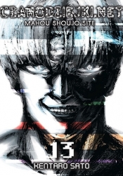 Czarodziejki.net Tom 13 - Kentarou Satou