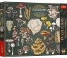 <img src='https://webimage.pl/pics/969/6/d5900511376081.jpg' width='400' height='351'> Puzzle 500 Finders Keepers: Grzyby TREFL