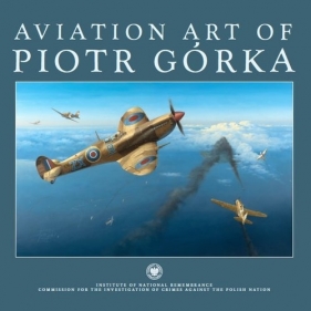 Aviation art of Piotr Górka - Matusiak Wojciech