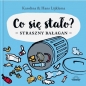 Co się stało? Straszny bałagan - Karolina Lijklema, Hans Lijklema