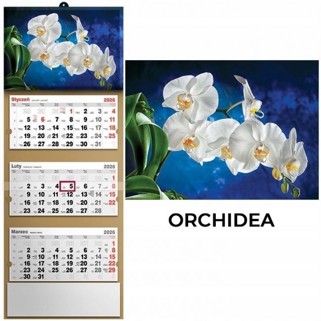 <img src='https://webimage.pl/pics/970/0/d5901421110970.jpg' style='height:440px' /> Kalendarz 2026 trójdzielny orchidea