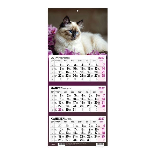 <img src='https://webimage.pl/pics/970/0/d5902806390970.jpg'>