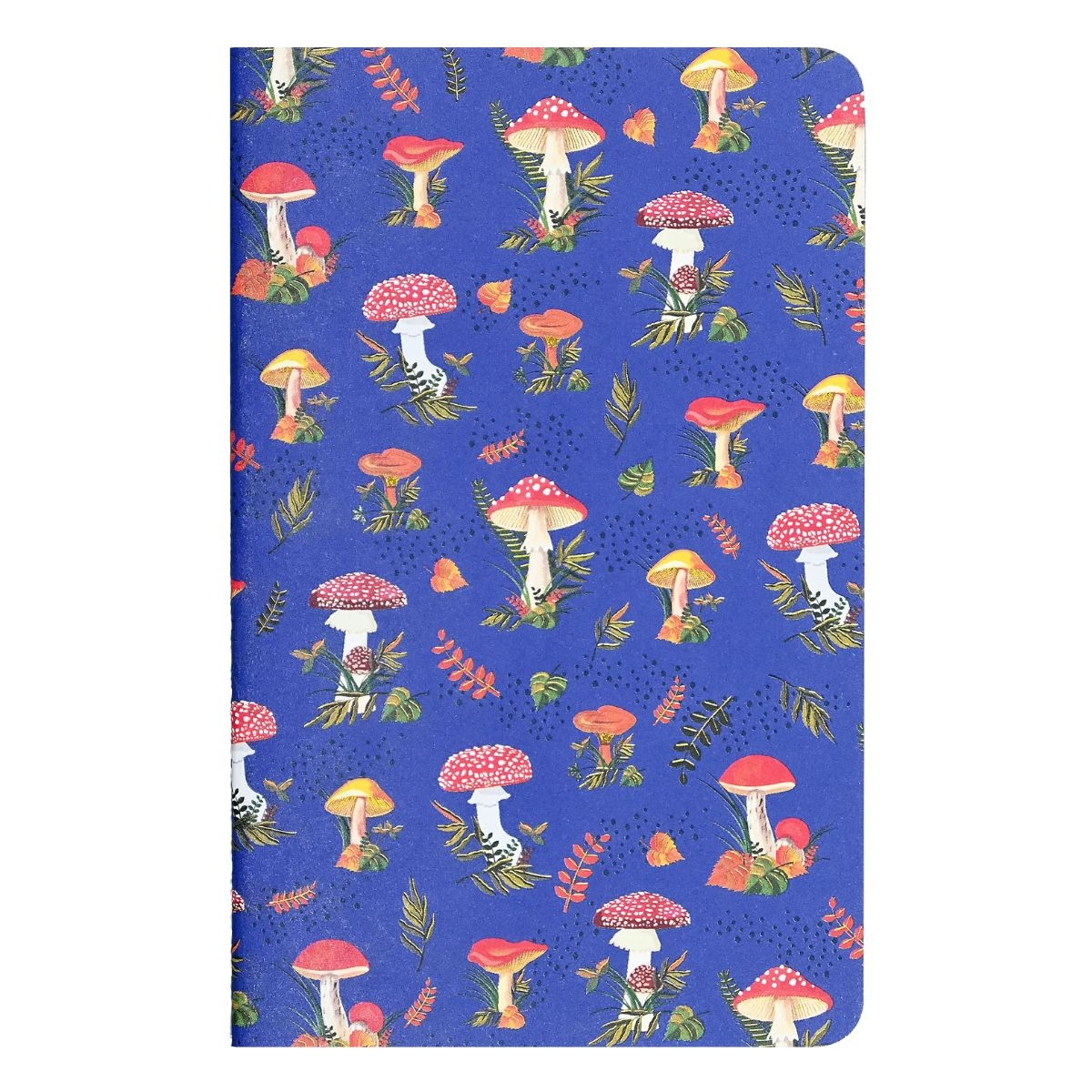 <img src='https://webimage.pl/pics/970/3/d9781441343970.3.jpg'>