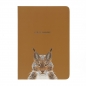 Notes Astra Sketch-note A5/64k gładki - Animals (114020001)