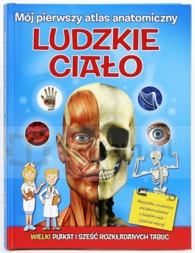 Mój pierwszy atlas anatomiczny Ludzkie ciało