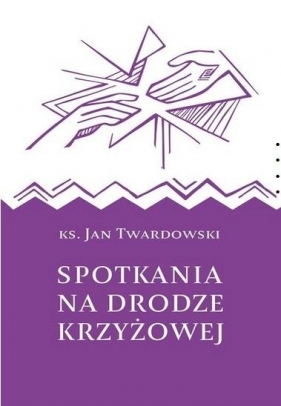 Spotkania na drodze krzyżowej - Jan Twardowski