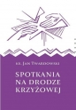 Spotkania na drodze krzyżowej - Jan Twardowski