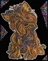  Kolorowanka Welwetowa Colorvelvet 47x35 cm Yorkshire Terrier