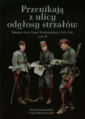 Przenikają z ulicy odgłosy strzałów - Karol Szaładziński, Leszek Rościszewski