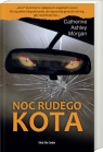 Noc rudego kota