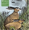 Puzzle 500 Zające z Rathlin Angela Harding